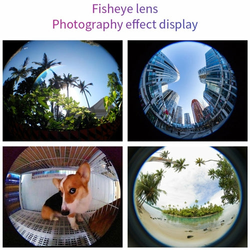 Kit photo smartphone 12-en-1 avec objectifs et trépied