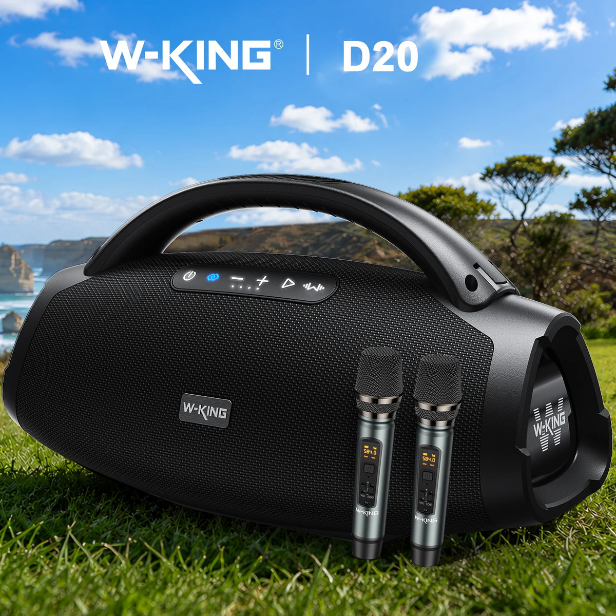 W-KING D20 – Enceinte Bluetooth 5.4 avec fonction karaoké